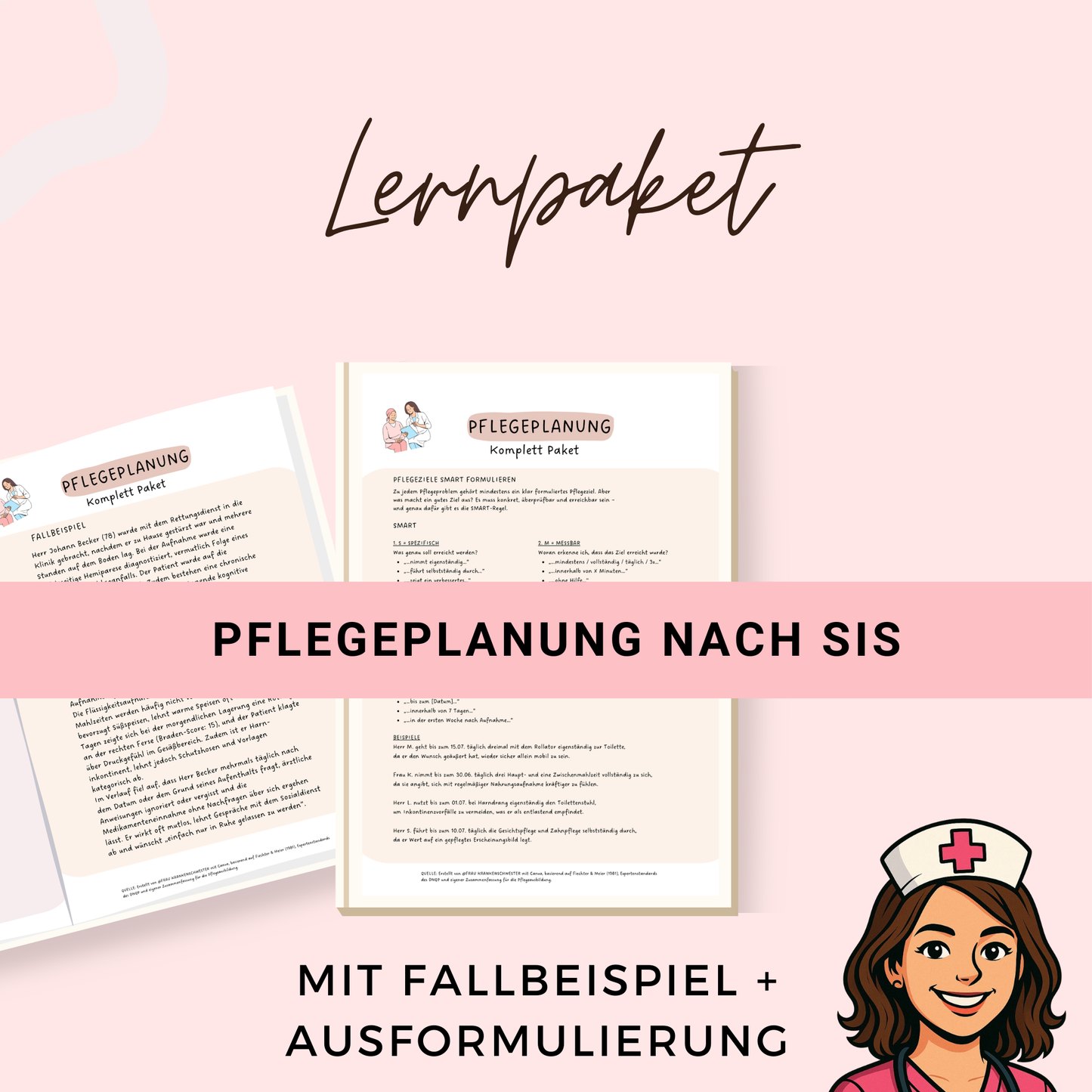 SIS Pflegeplanung 21 Seiten mit Beschreibung und kompletten Fallbeispiel - ideal für deine Pflegeausbildung und das Examen als PDF