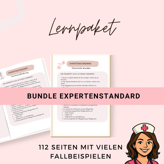 Expertenstandard Bundle - 112 Seiten mit vielen Fallbeispielen